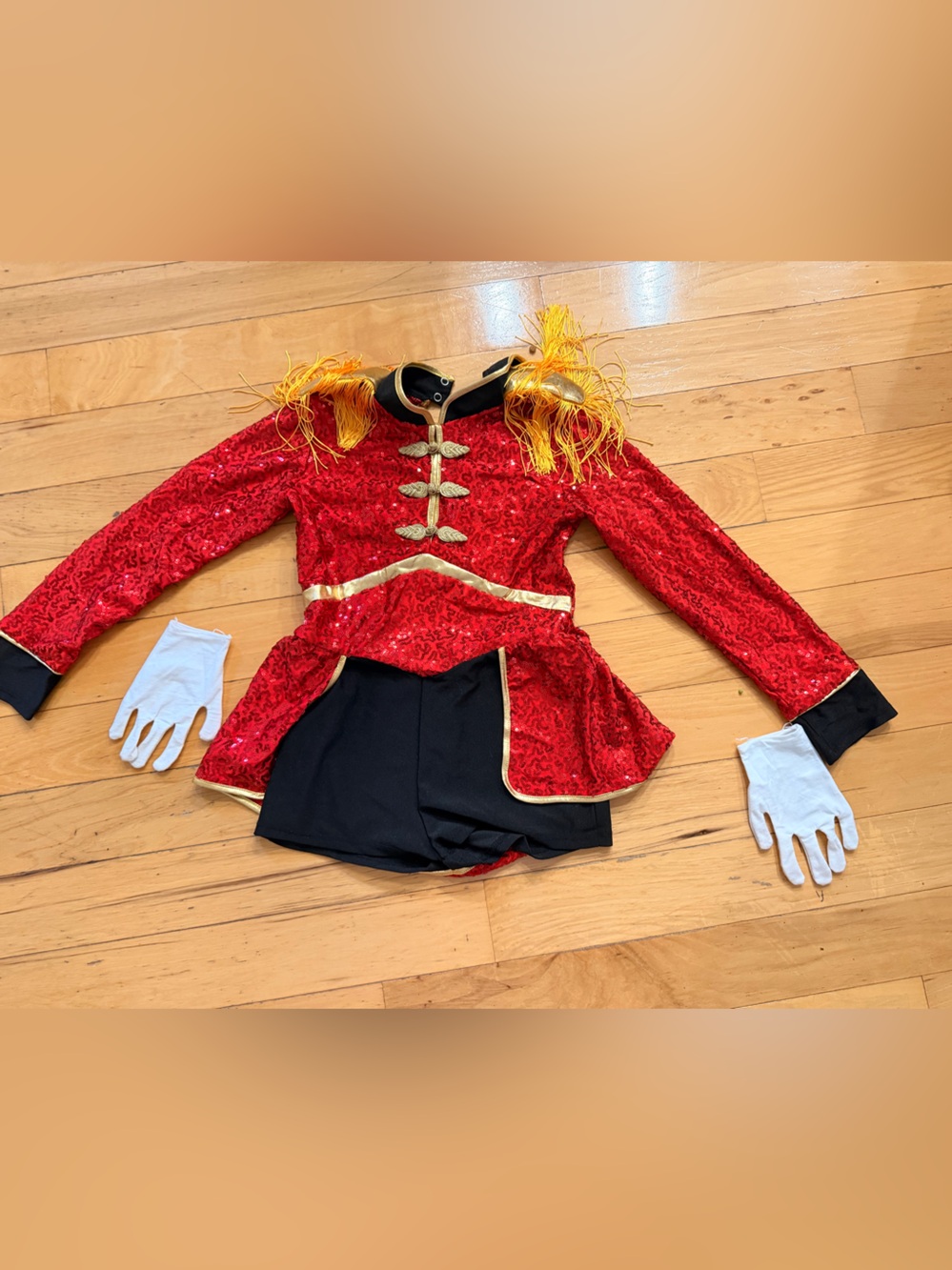Taylor Swift Ringmaster Costume